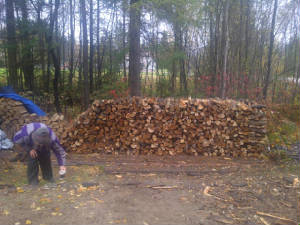 woodpile.jpg